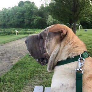 Meet your Posher, Heather